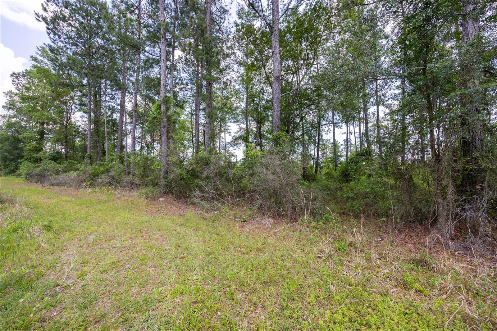 0 County Road 225 Property Photo 2