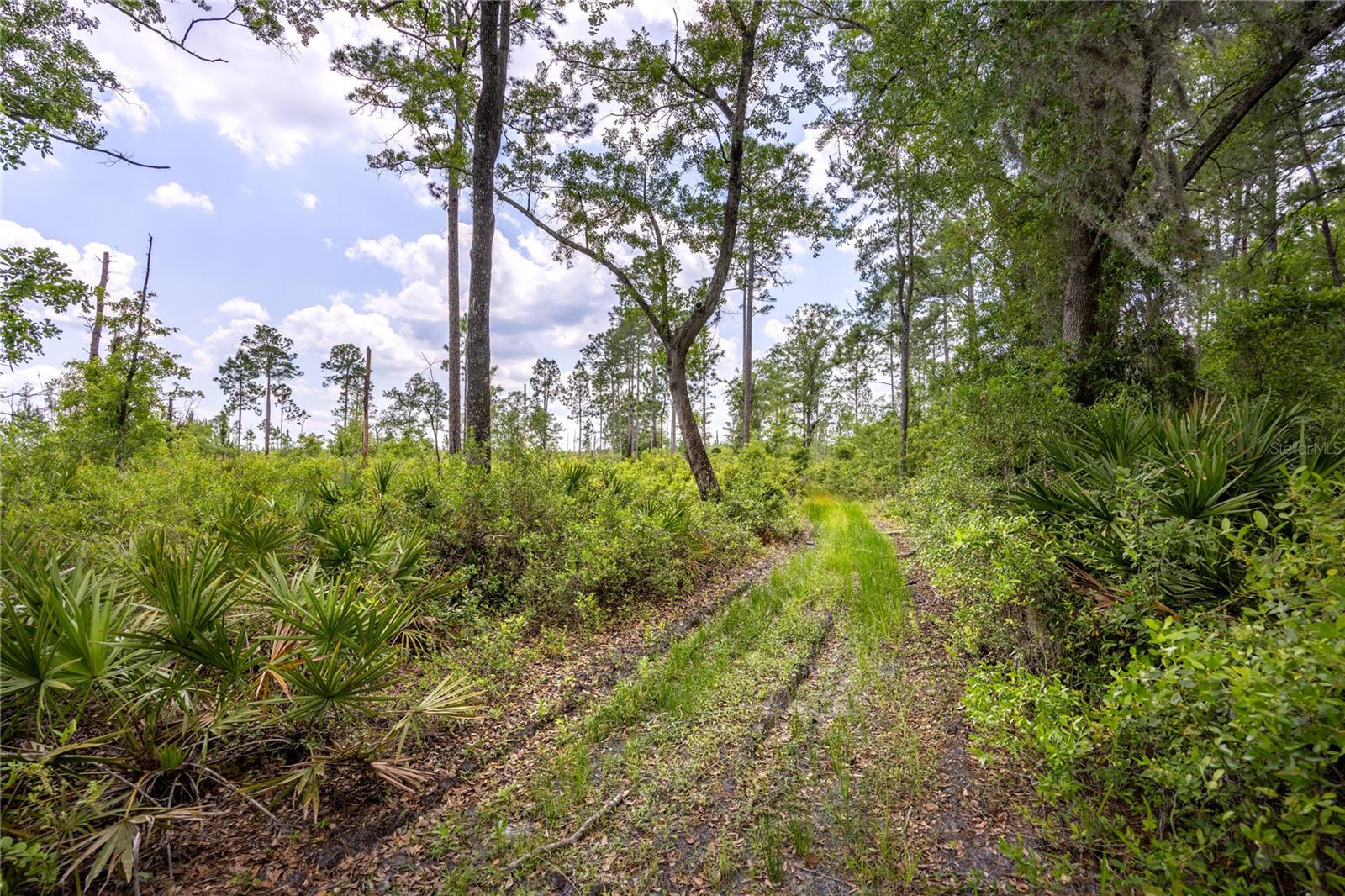 0 County Road 225 Property Photo 6