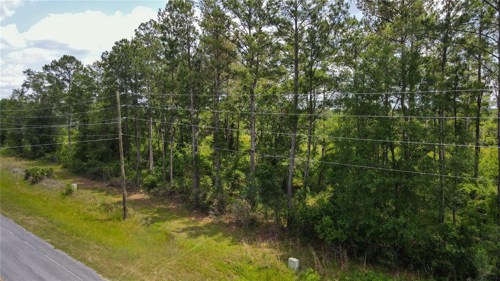 0 County Road 225 Property Photo 11