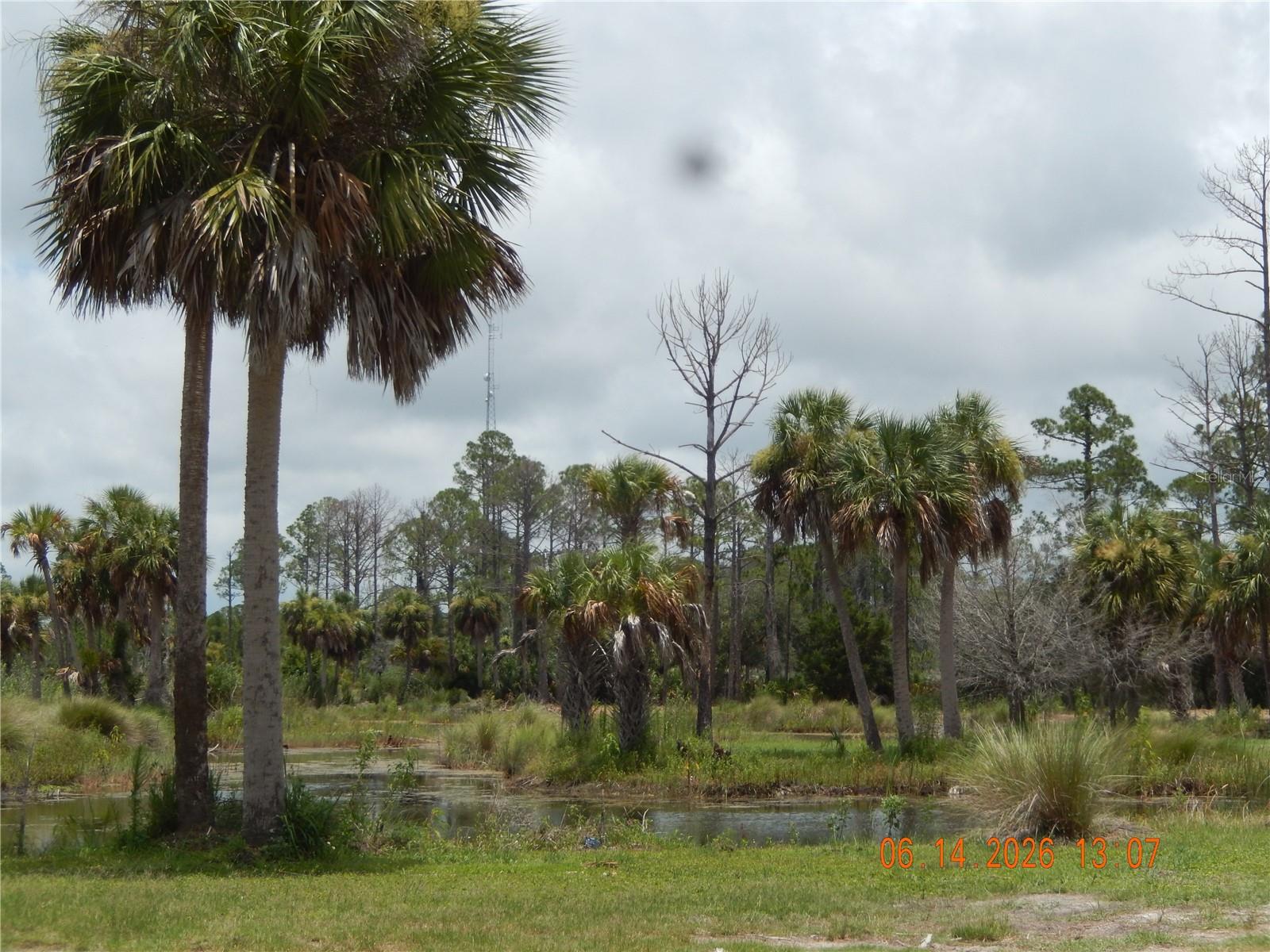 Lot 7 Sw 104 St Property Photo 9