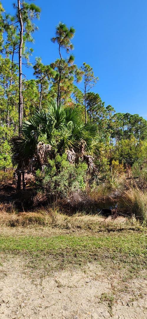 Lot 8 Sw 104 St Property Photo 5