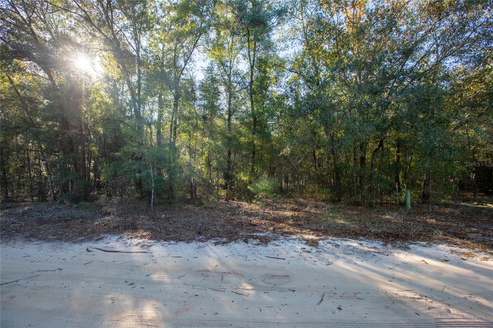 6755 Linwood Dr Property Photo 7