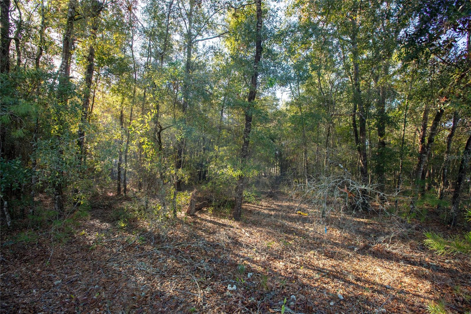 6755 Linwood Dr Property Photo 8