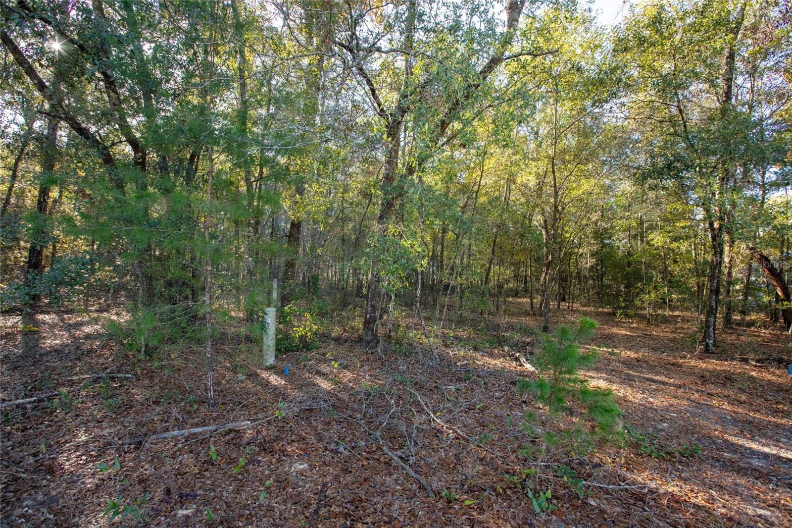 6755 Linwood Dr Property Photo 9