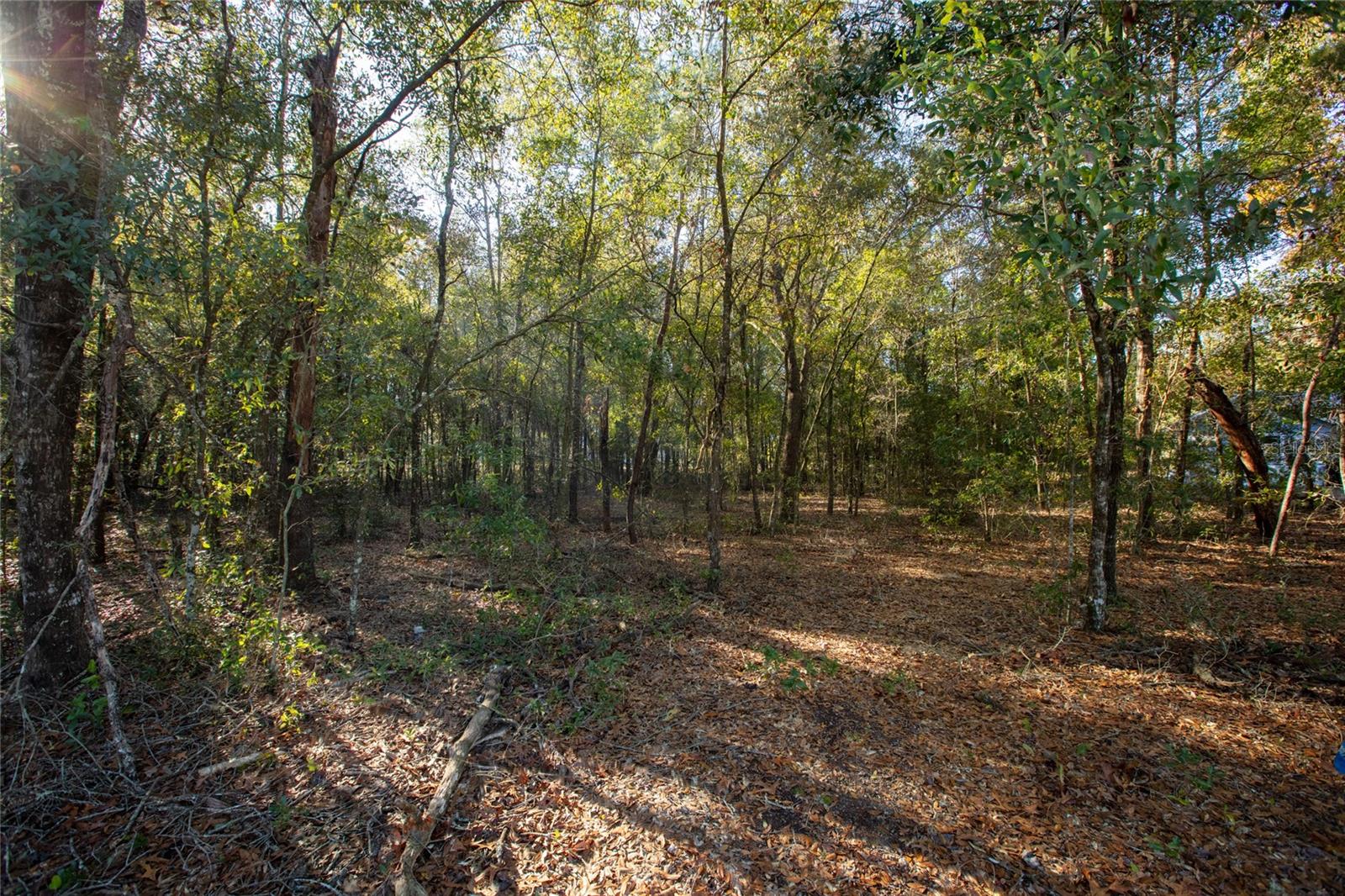 6755 Linwood Dr Property Photo 10