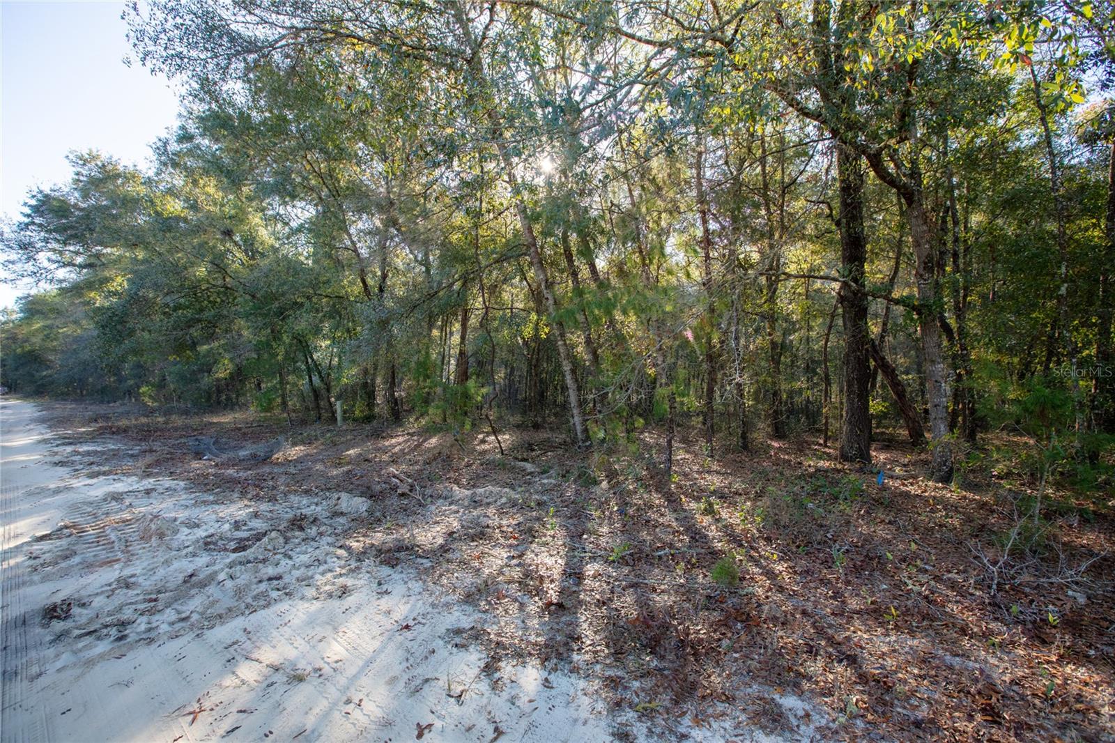 6755 Linwood Dr Property Photo 11