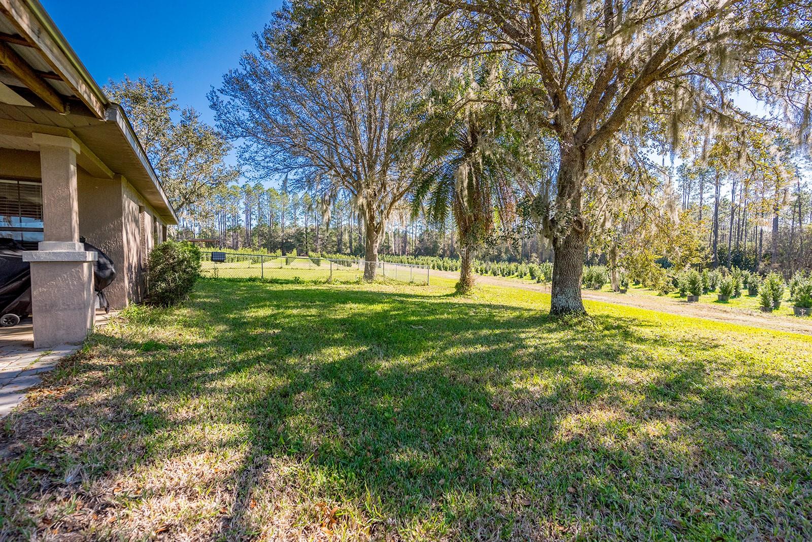 16385 Nw 112th Ct Property Photo 32