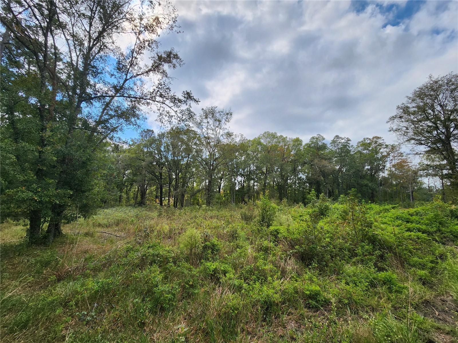 Cr-225 Property Photo 3