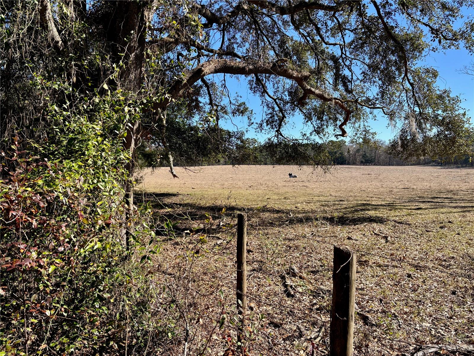 285 Se Sprite Loop Property Photo 2