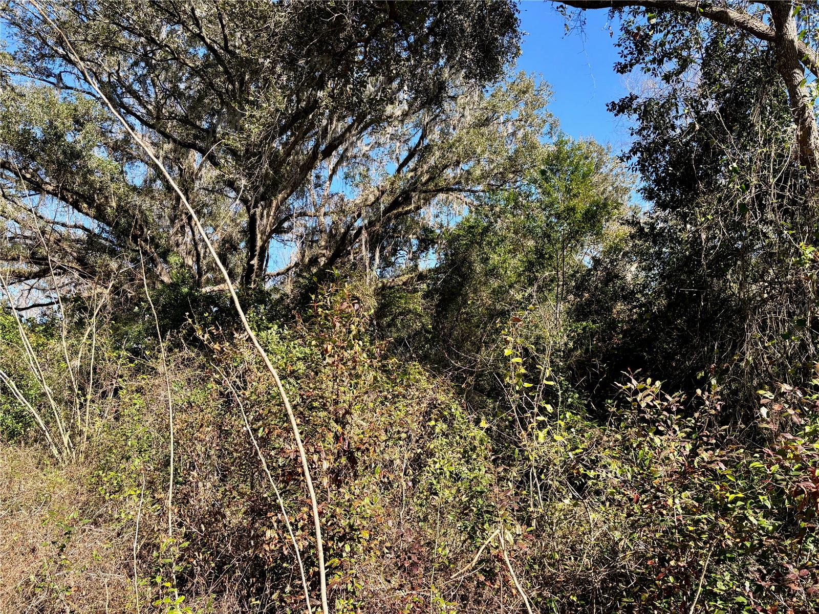 285 Se Sprite Loop Property Photo 3
