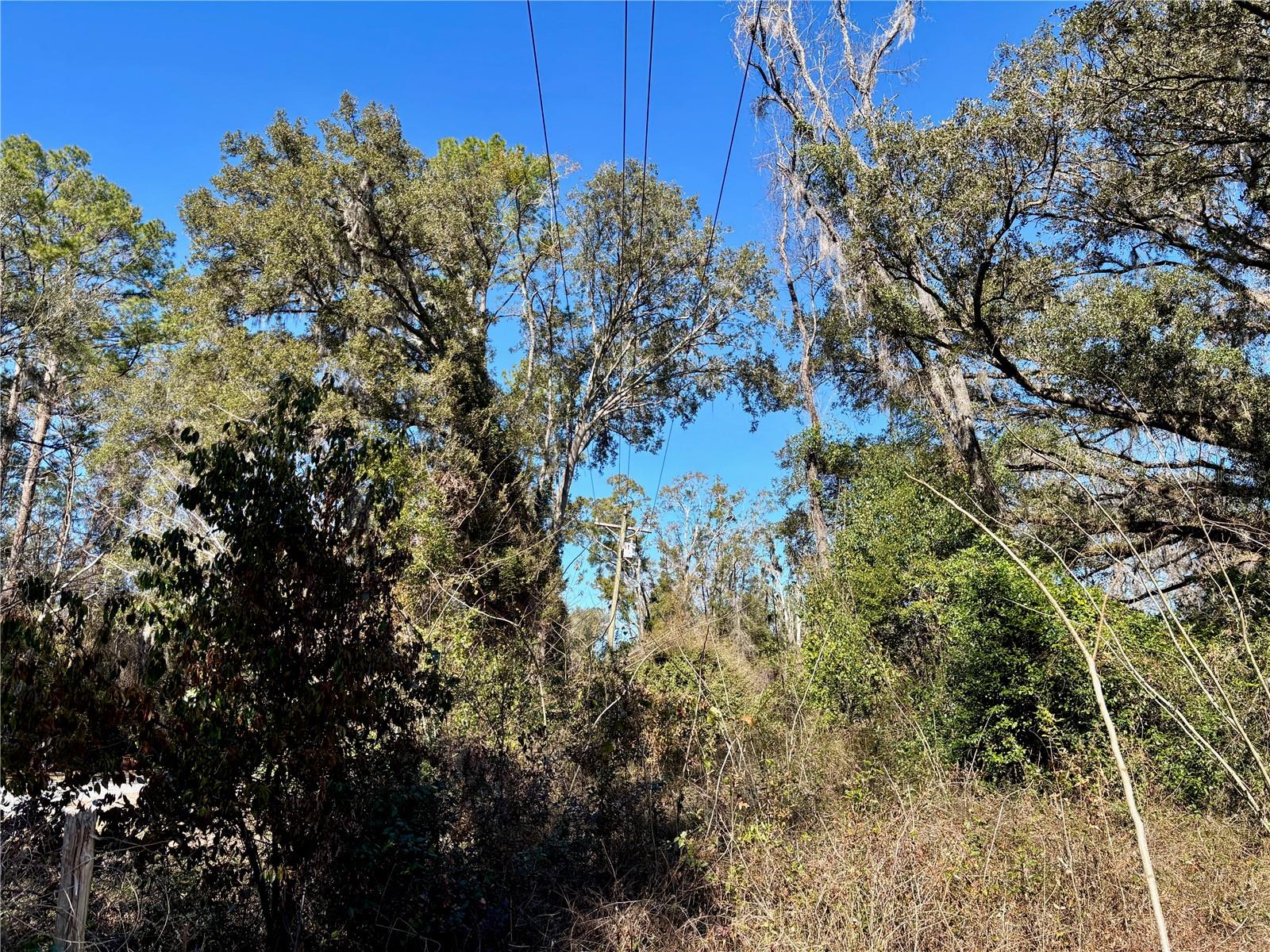 285 Se Sprite Loop Property Photo 6