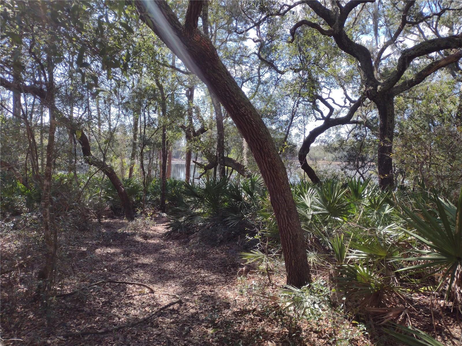 89 Tucker Lake Rd Property Photo