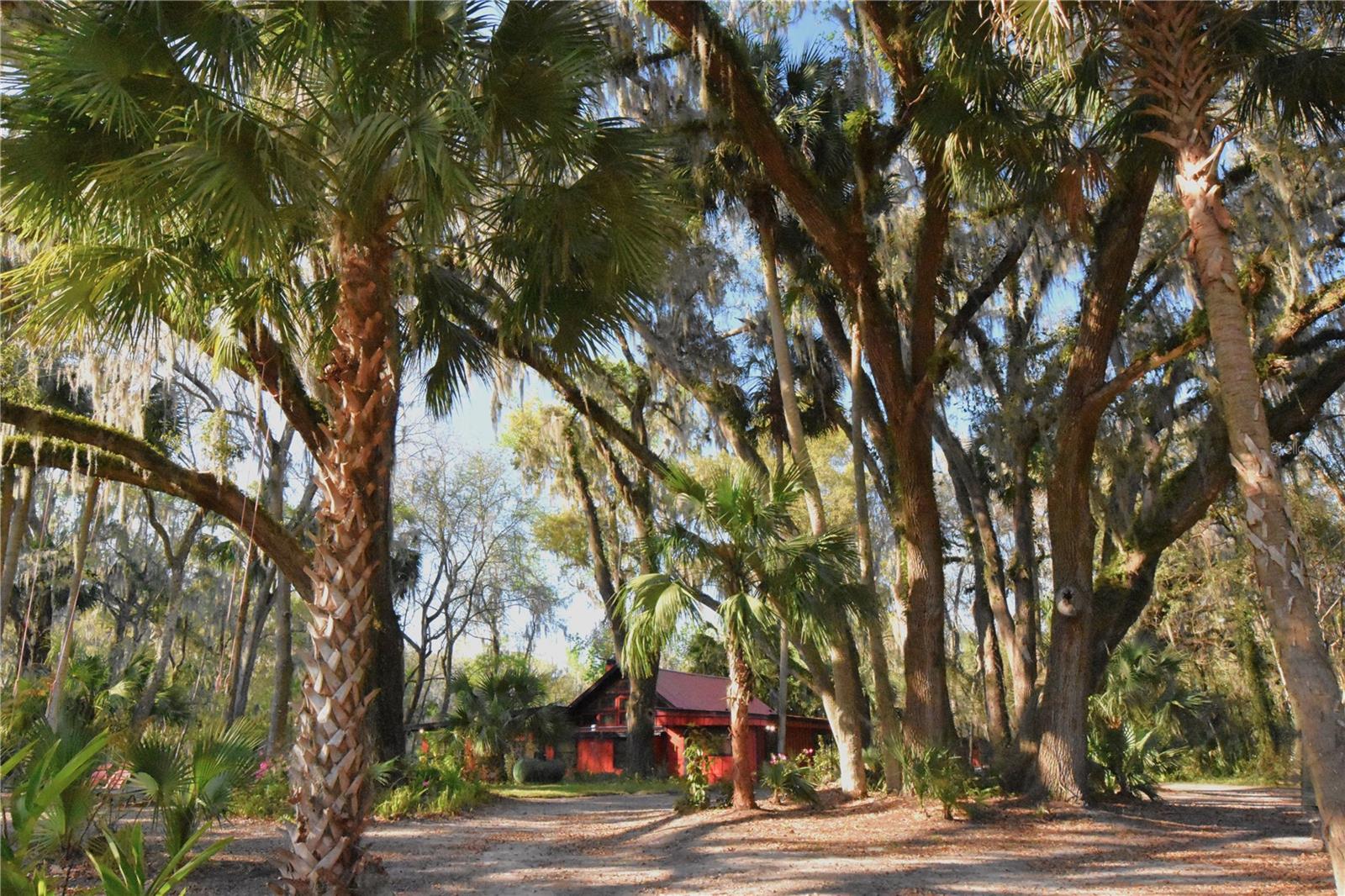 1302 Se Wacahoota Rd Property Photo