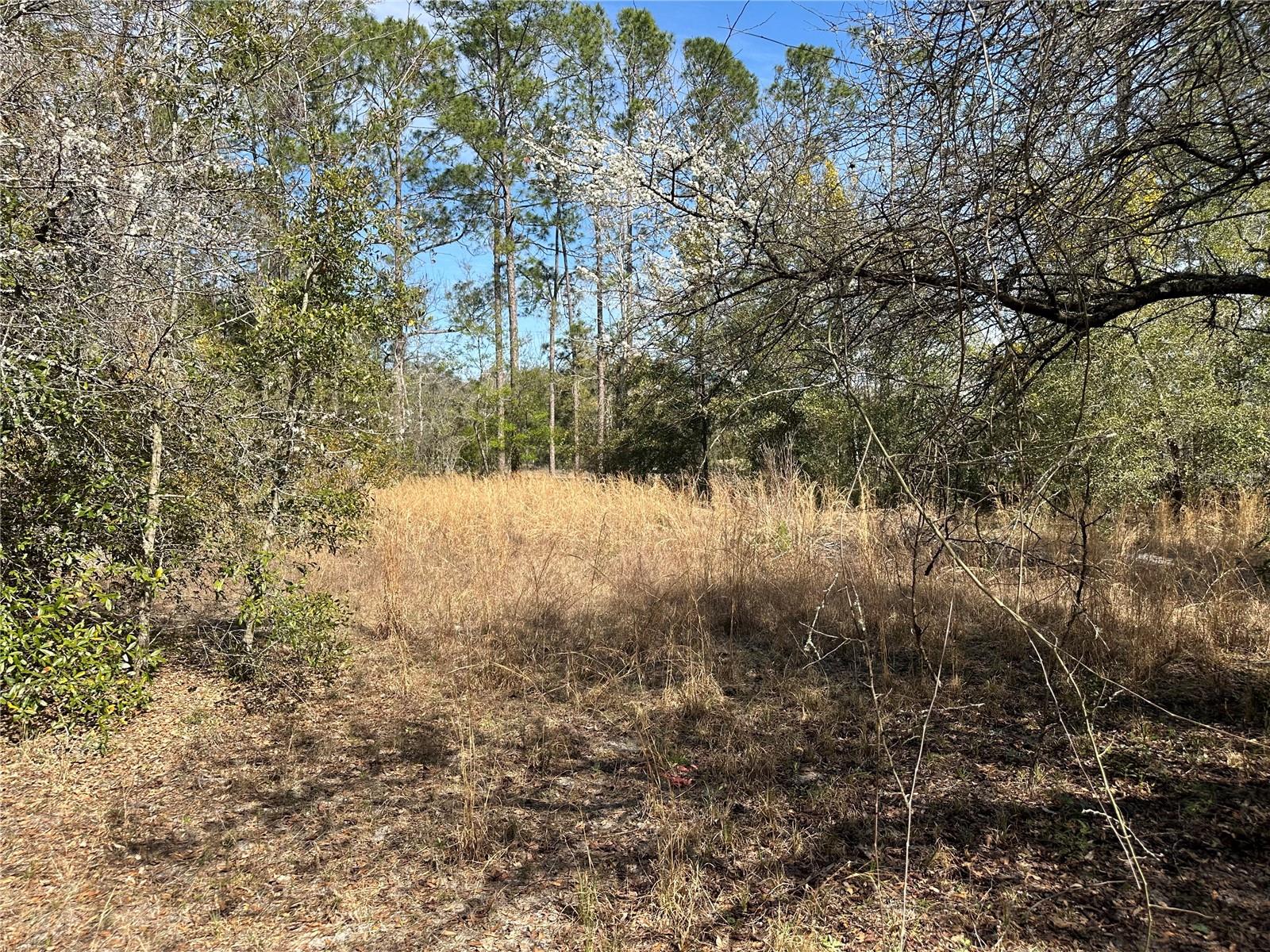 Tbd 198th Trl Property Photo 1