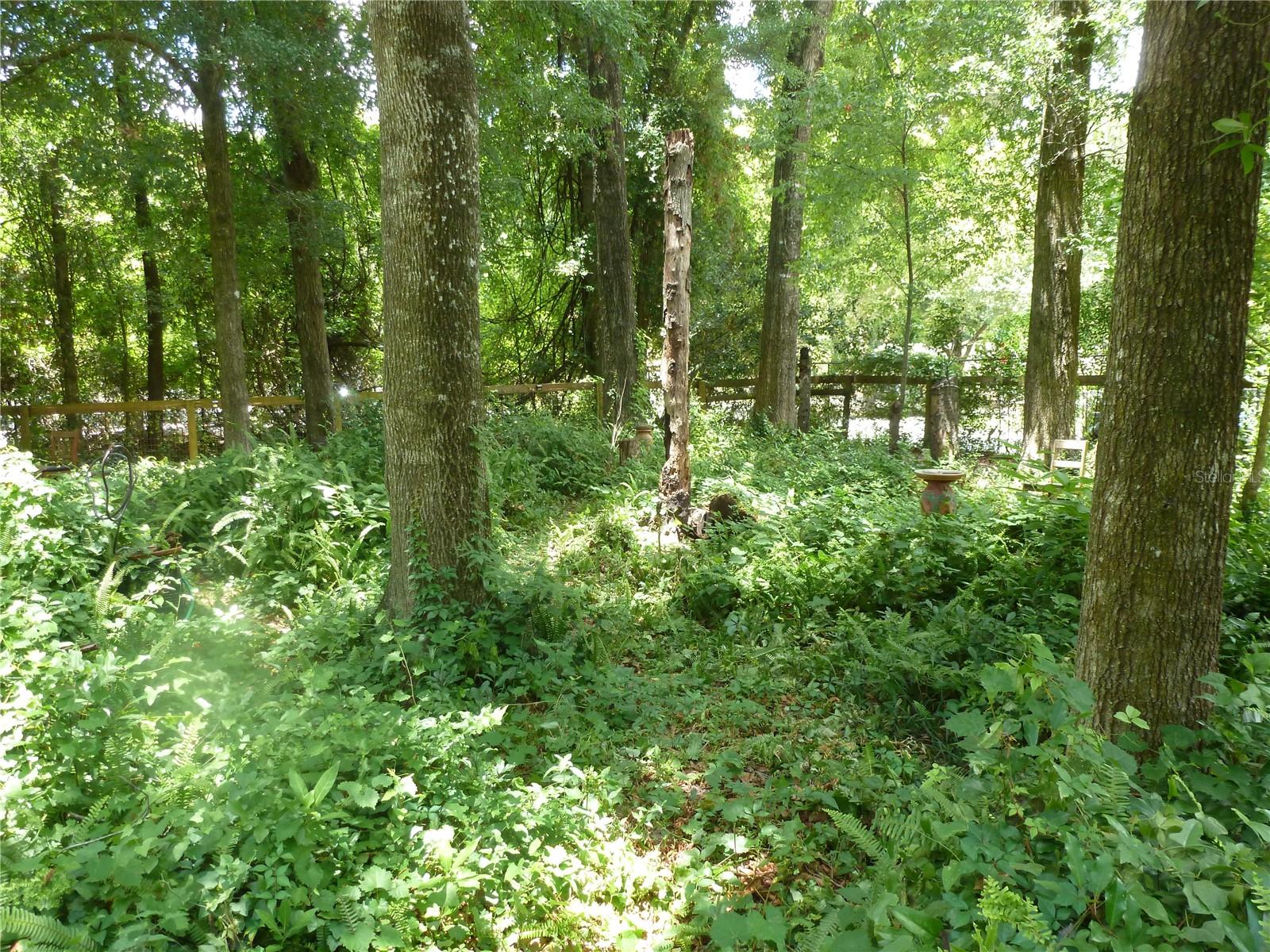 1031 Sw 62nd Ter Property Photo 1