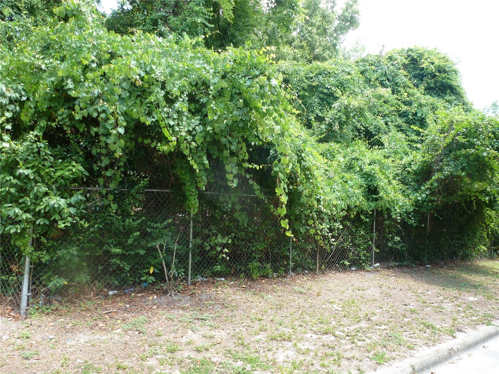 1031 Sw 62nd Ter Property Photo 5