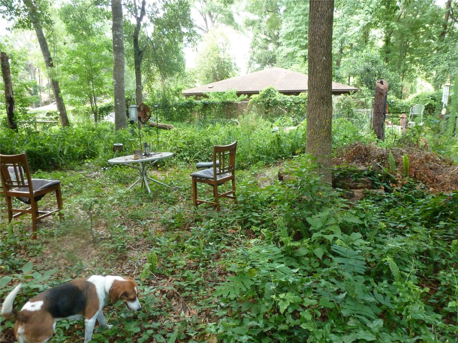 1031 Sw 62nd Ter Property Photo 13