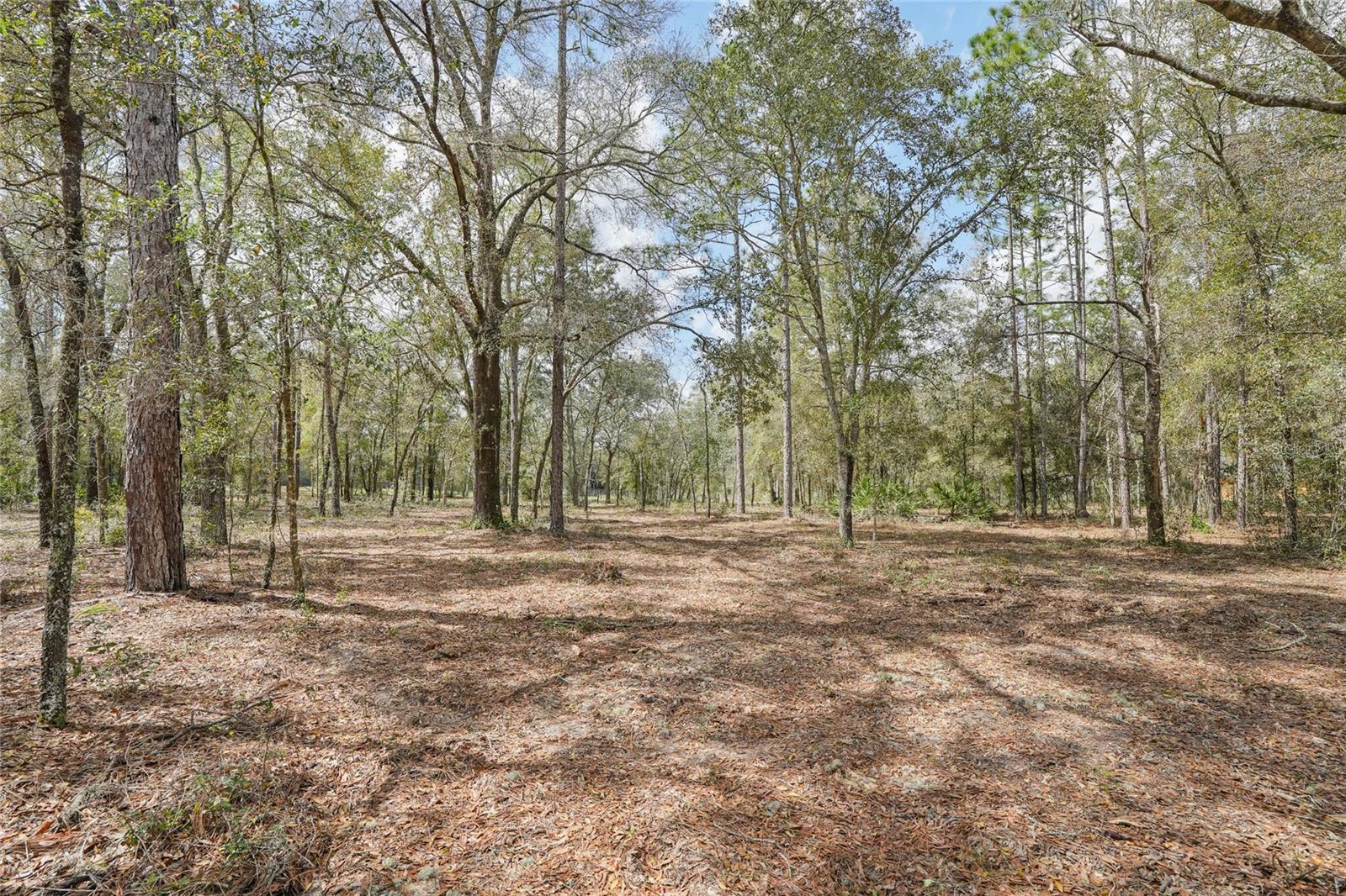 Tbd Ne 102 Ct Property Photo