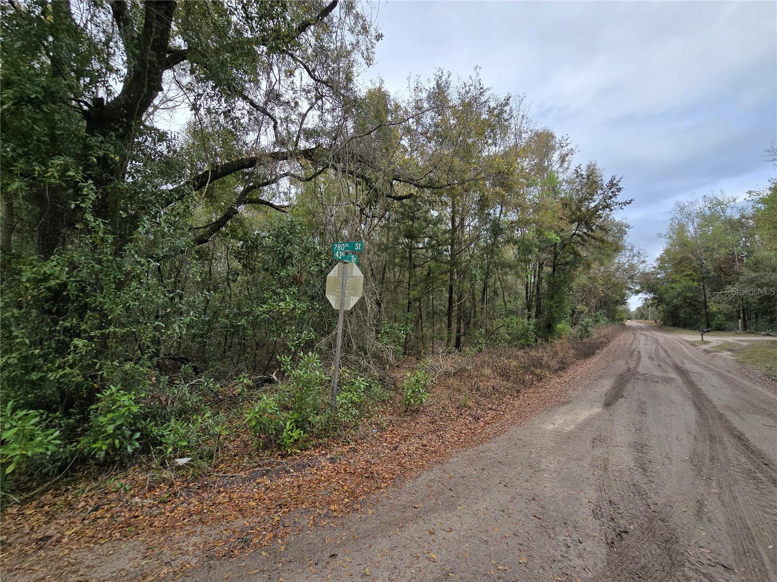 243 Dr Property Photo