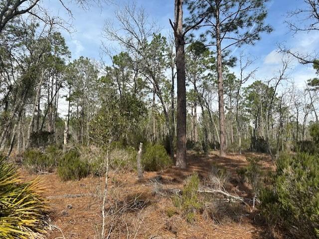 Nw County Road 236 Property Photo 4