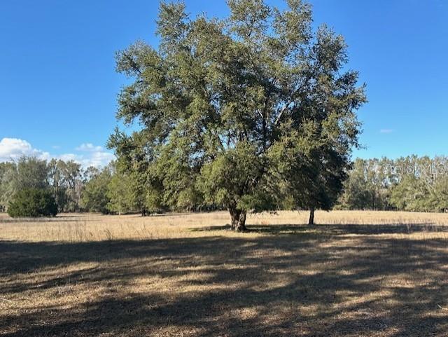 Nw County Road 236 Property Photo
