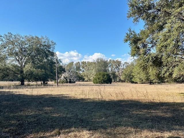 Nw County Road 236 Property Photo 4