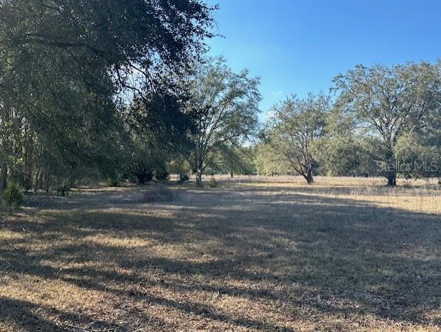 Nw County Road 236 Property Photo 5