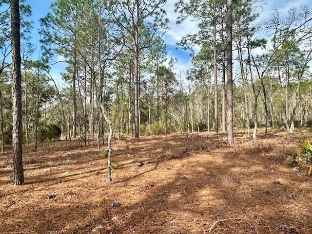 Nw County Road 236 Property Photo 17