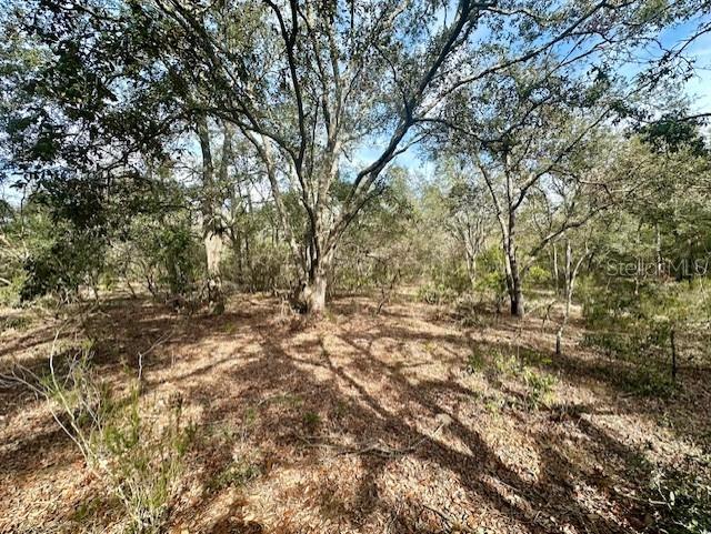 Nw County Road 236 Property Photo 18
