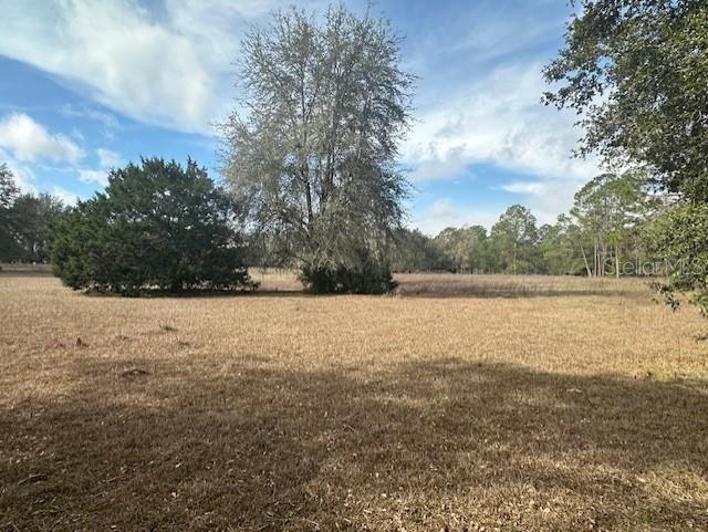 Nw County Road 236 Property Photo 20