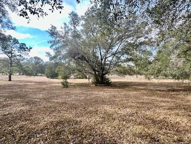 Nw County Road 236 Property Photo 21