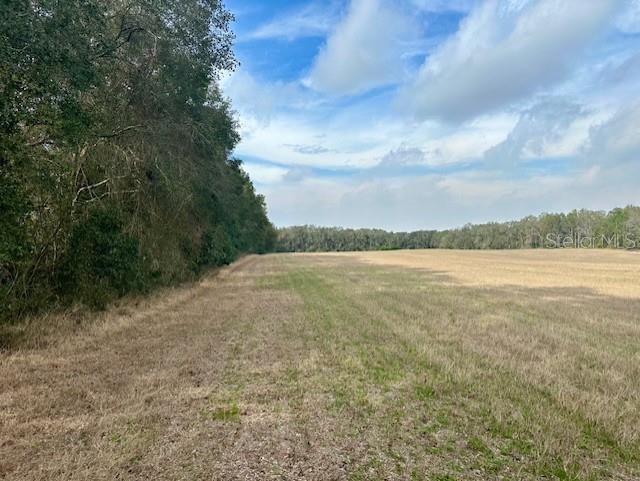 Nw County Road 236 Property Photo 24