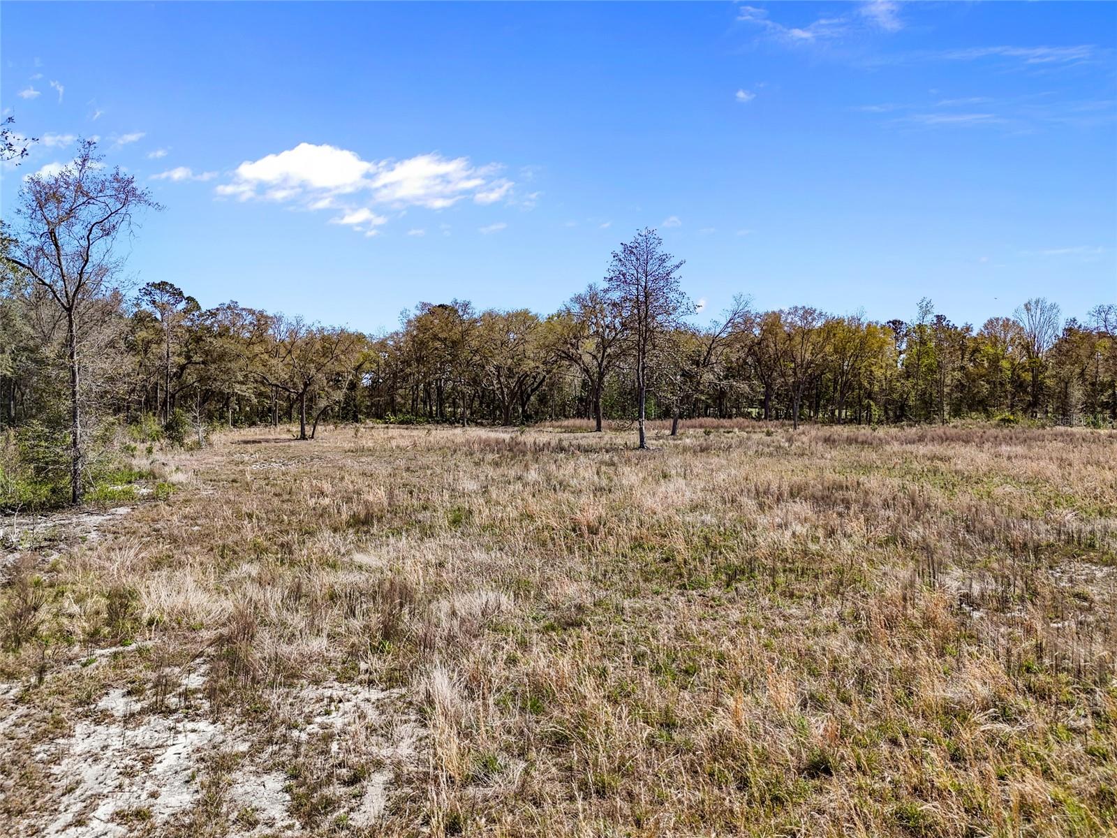 Tbd 00 Se Us Hwy 301 Property Photo 1