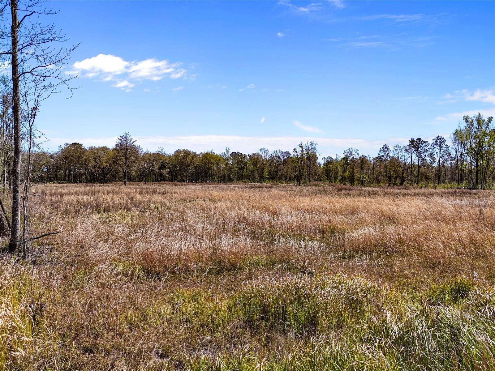 Tbd 00 Se Us Hwy 301 Property Photo 3