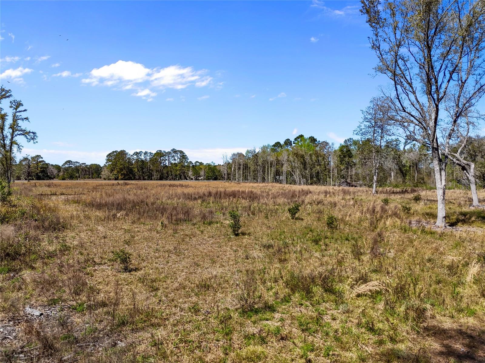 Tbd 00 Se Us Hwy 301 Property Photo 4
