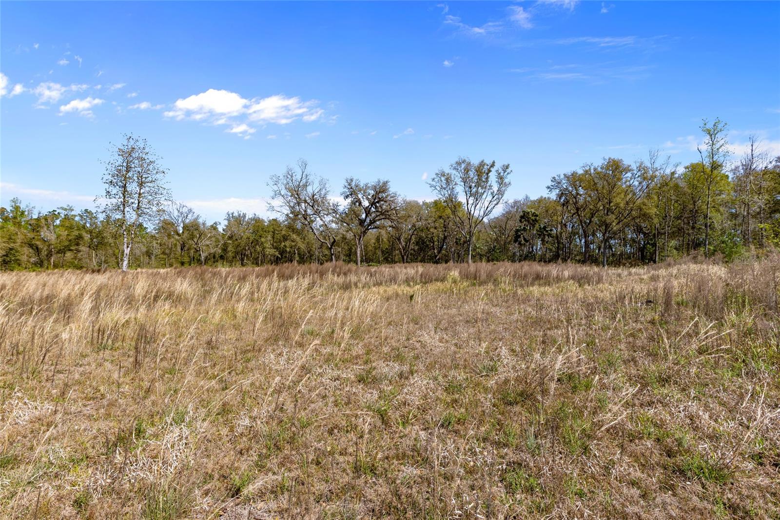 Tbd 00 Se Us Hwy 301 Property Photo 5