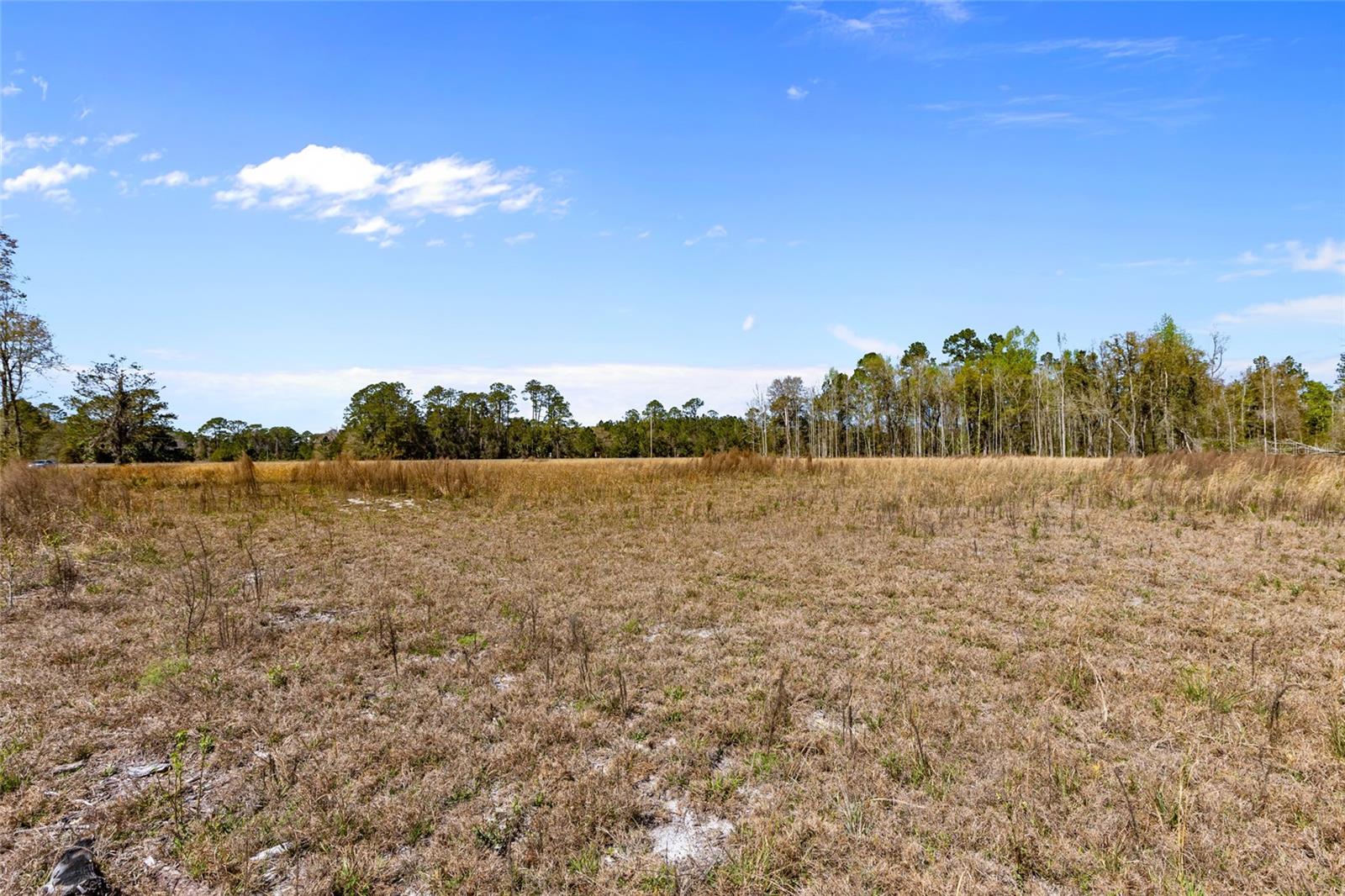 Tbd 00 Se Us Hwy 301 Property Photo 6