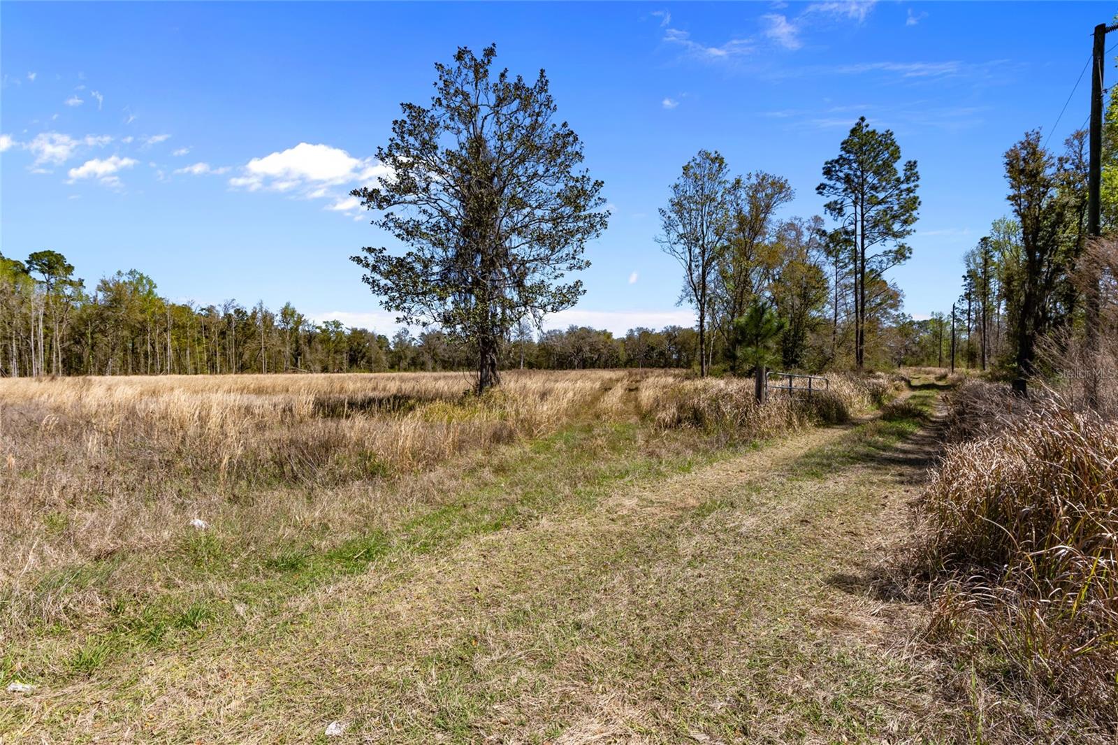 Tbd 00 Se Us Hwy 301 Property Photo 15