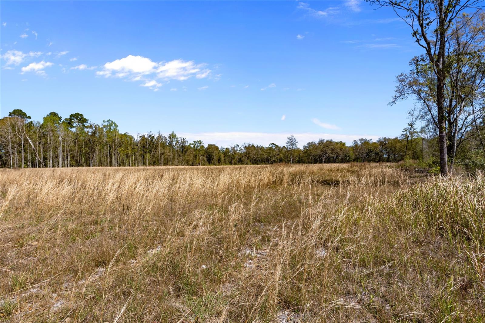 Tbd 00 Se Us Hwy 301 Property Photo 16