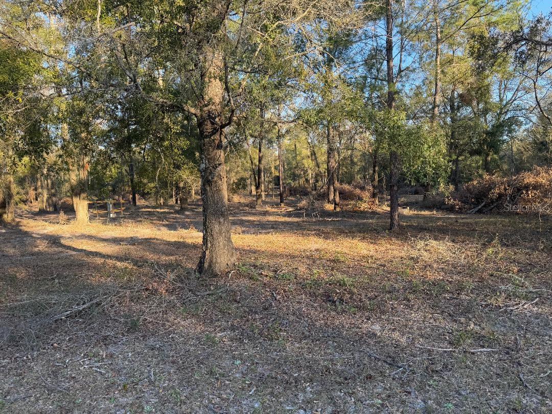 Columbia County Real Estate Listings Main Image