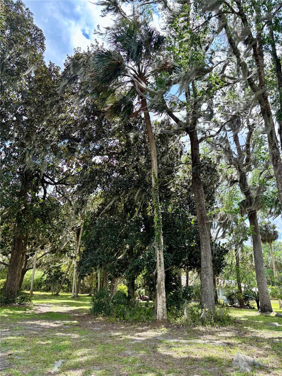 216 Little Orange Lake Dr Property Photo 18