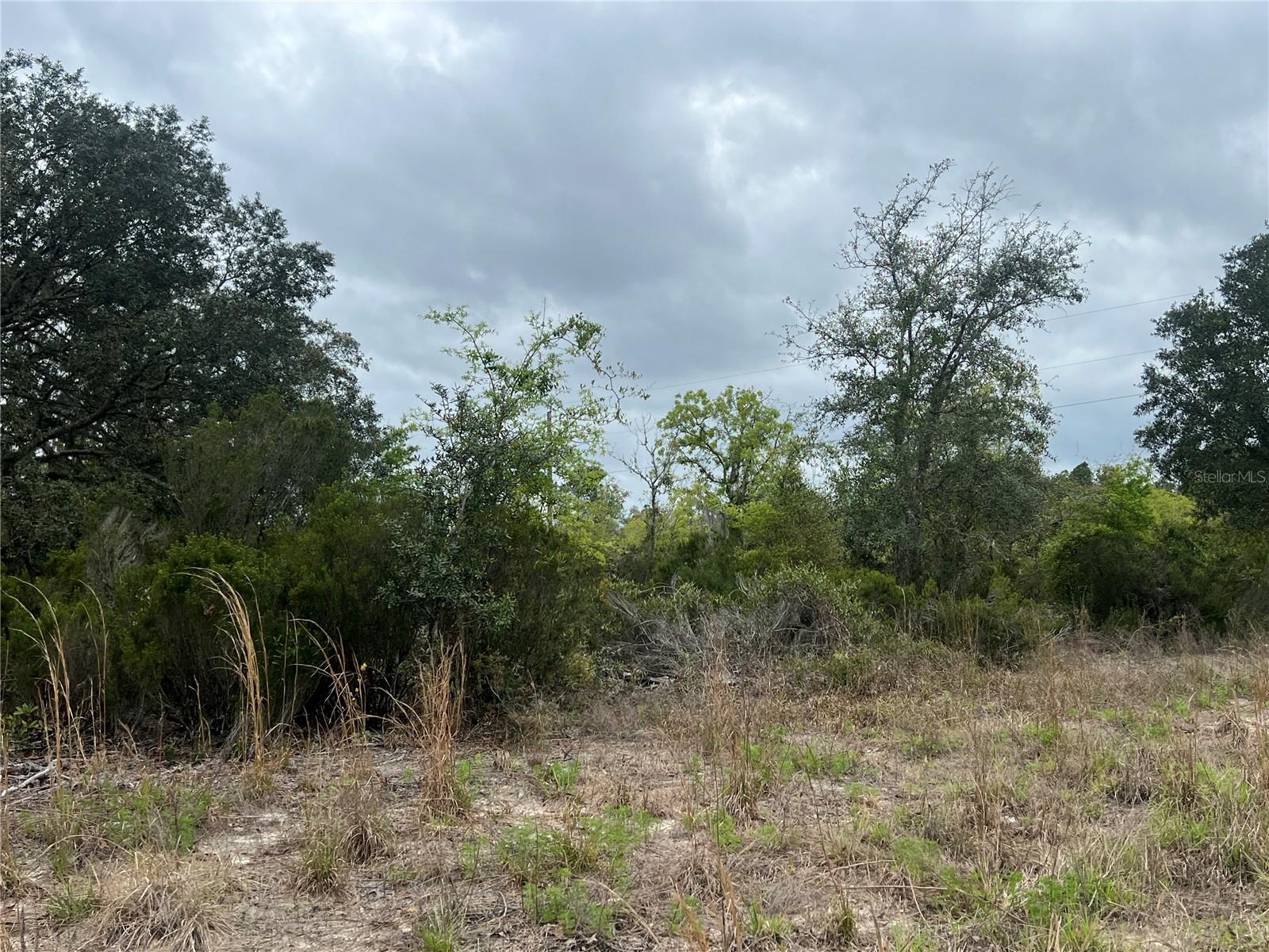 Tbd Ne 88th Ln Property Photo 1