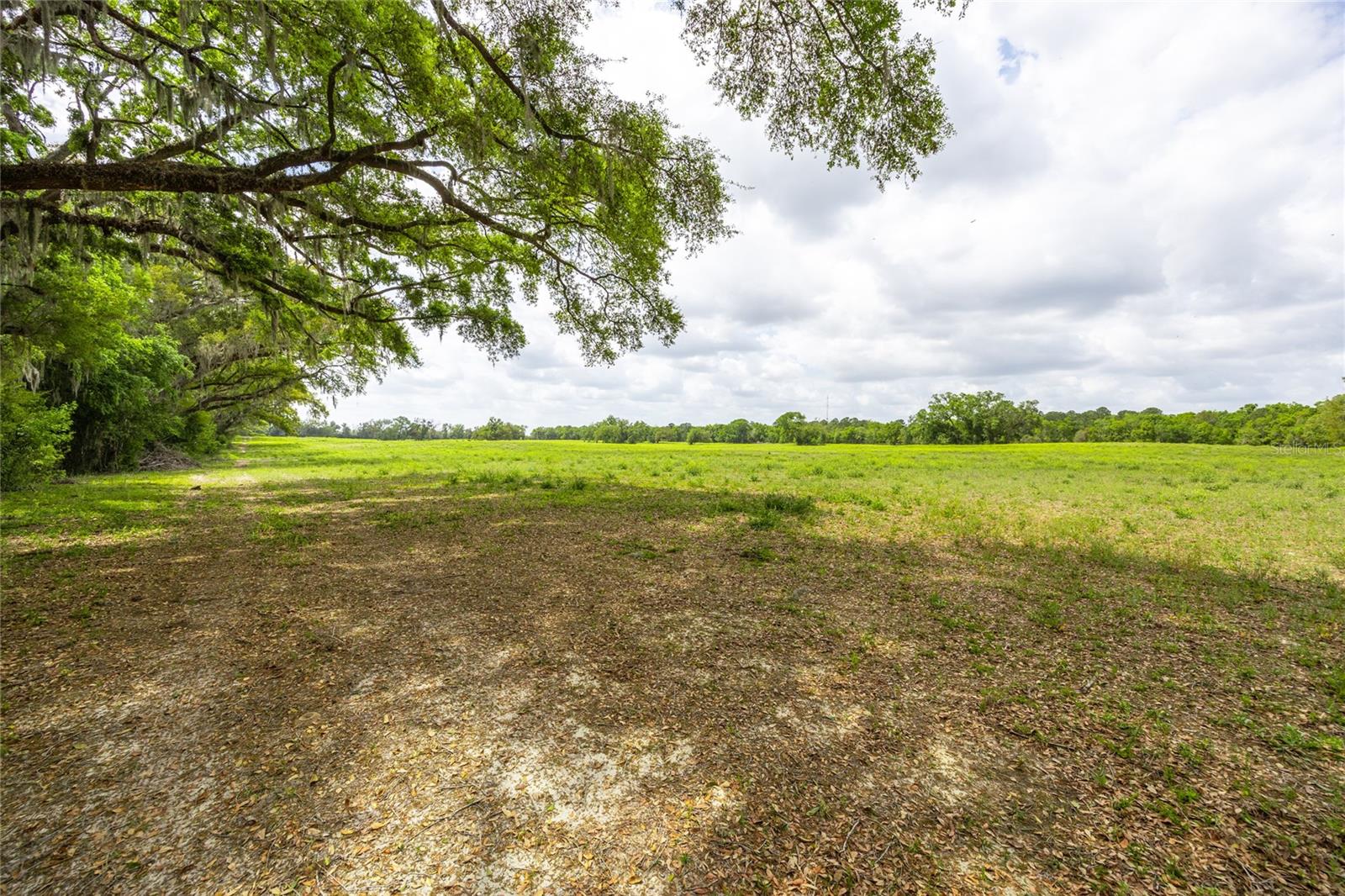 Tbd Sw 220th Dr Property Photo 10