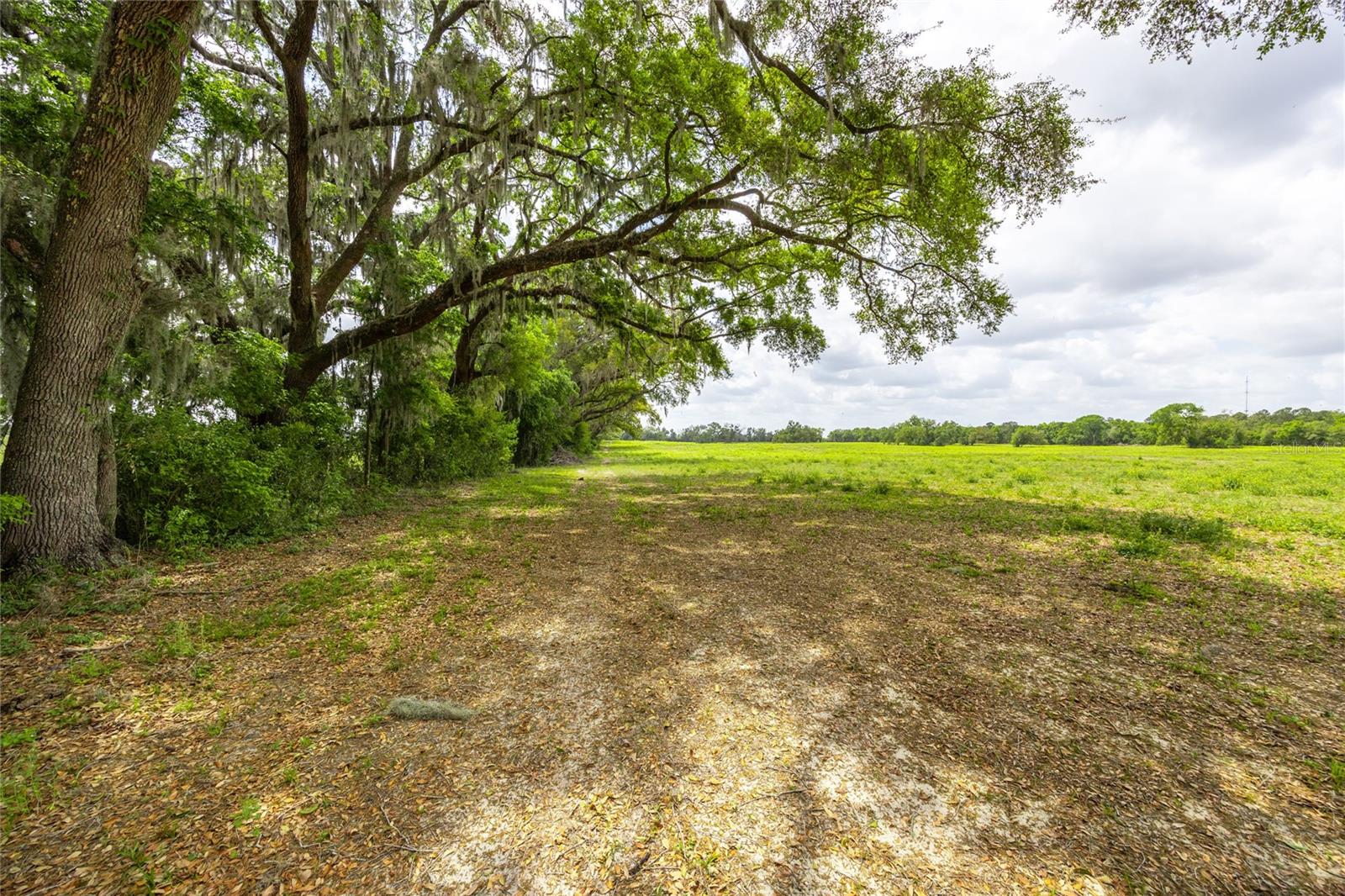 Tbd Sw 220th Dr Property Photo 11