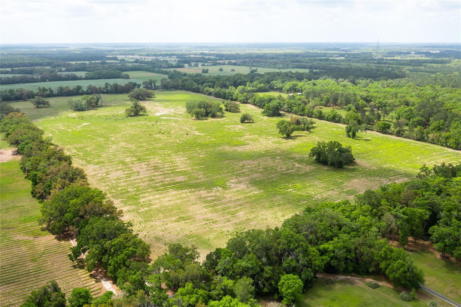 Tbd Sw 220th Dr Property Photo 8