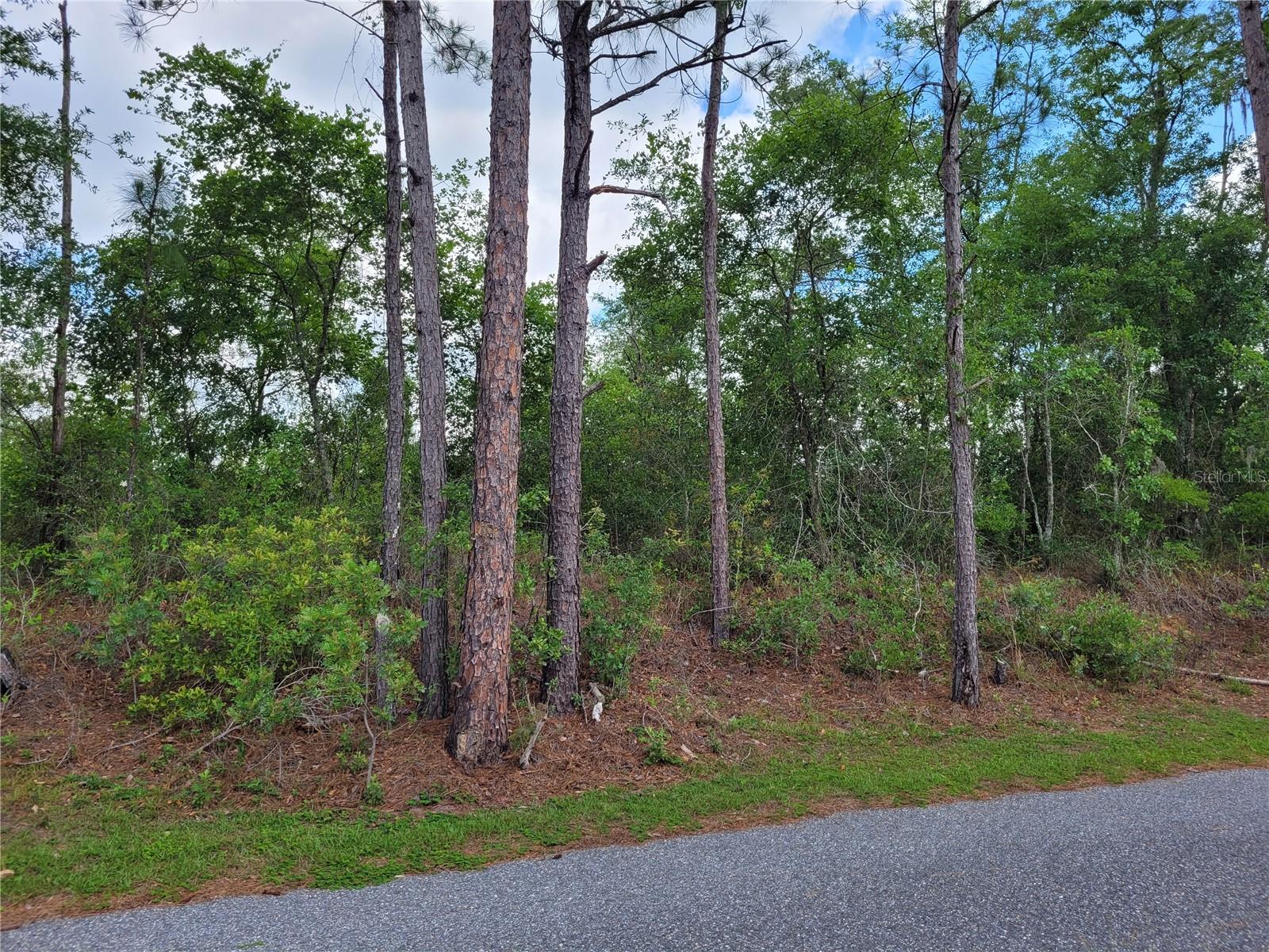Tbd County Road 18 Property Photo