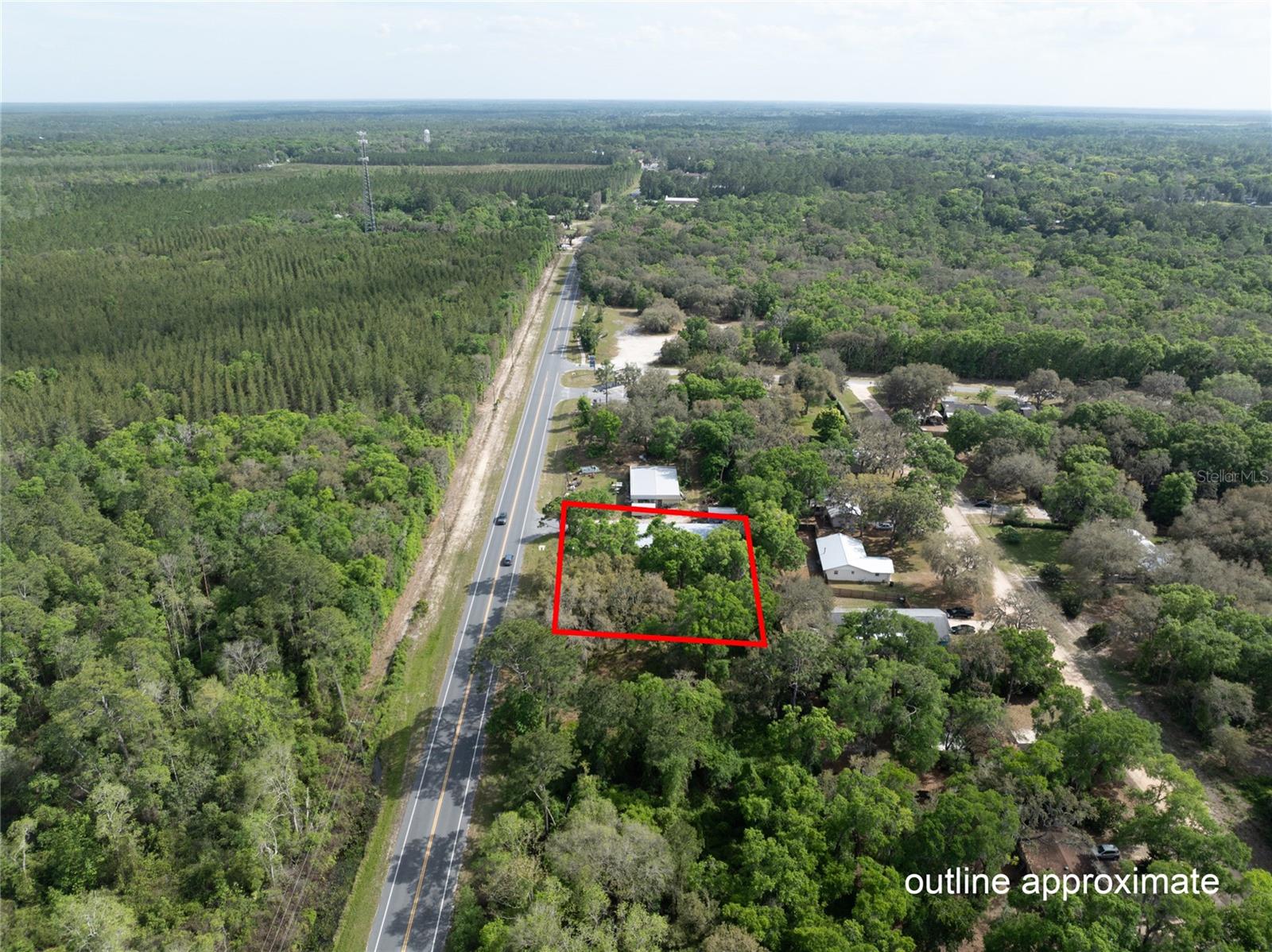 8786 & 8782 State Road 21 Property Photo 6