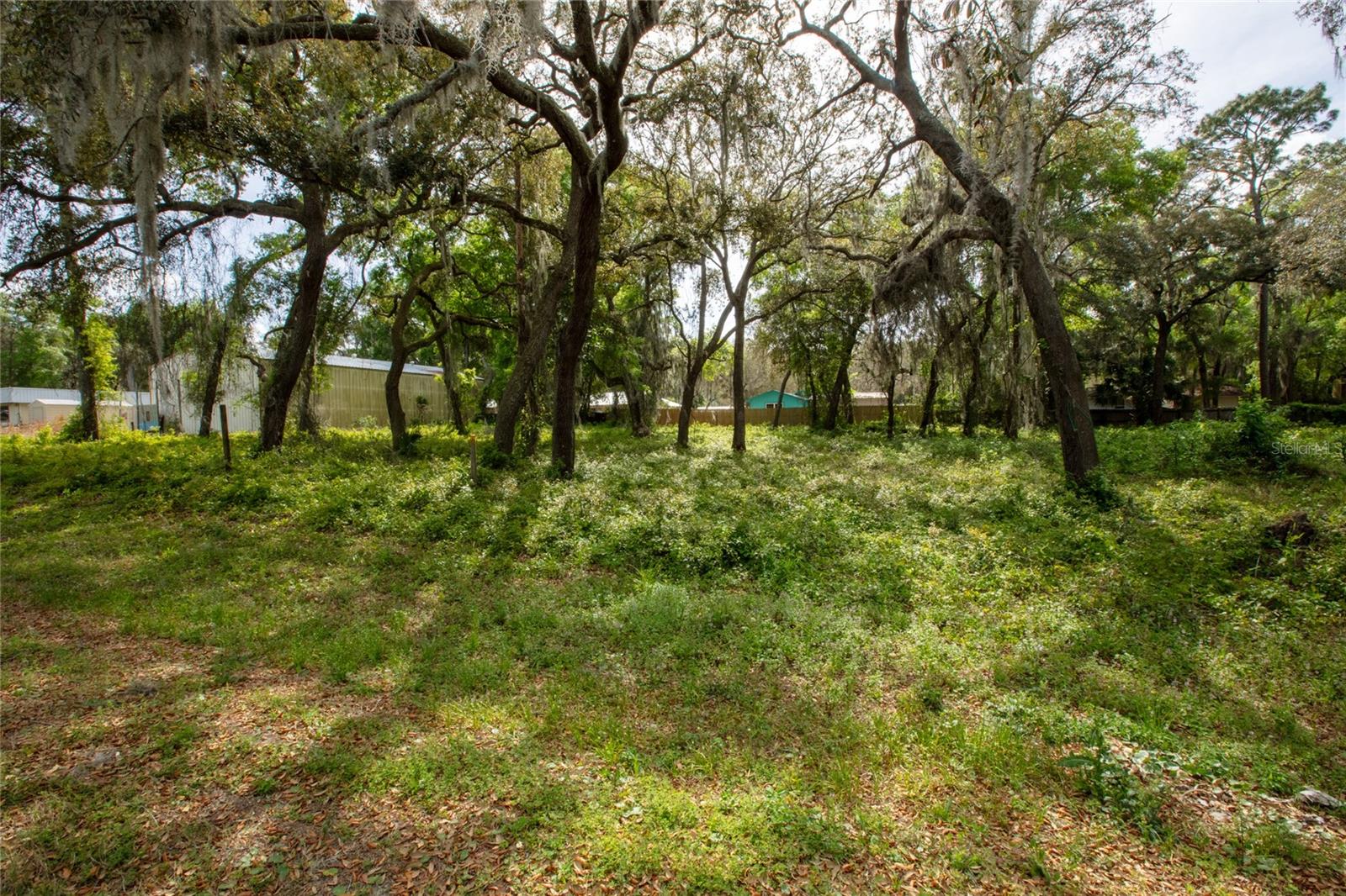 8786 & 8782 State Road 21 Property Photo 14