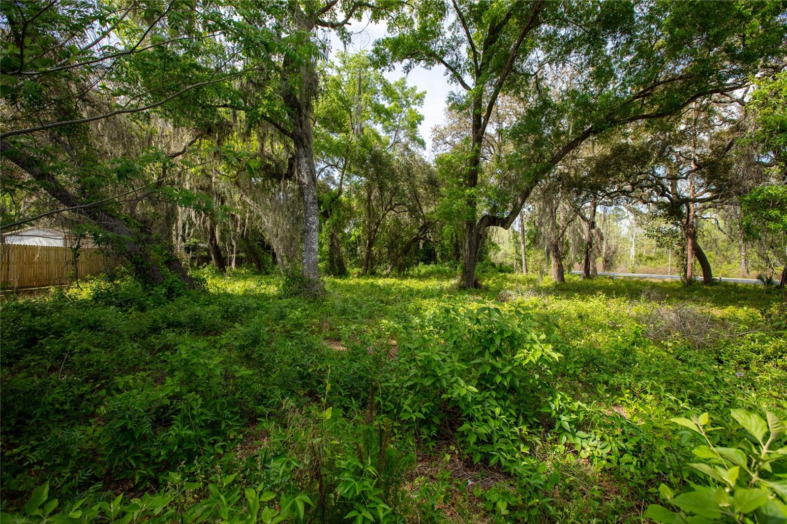 8786 & 8782 State Road 21 Property Photo 21