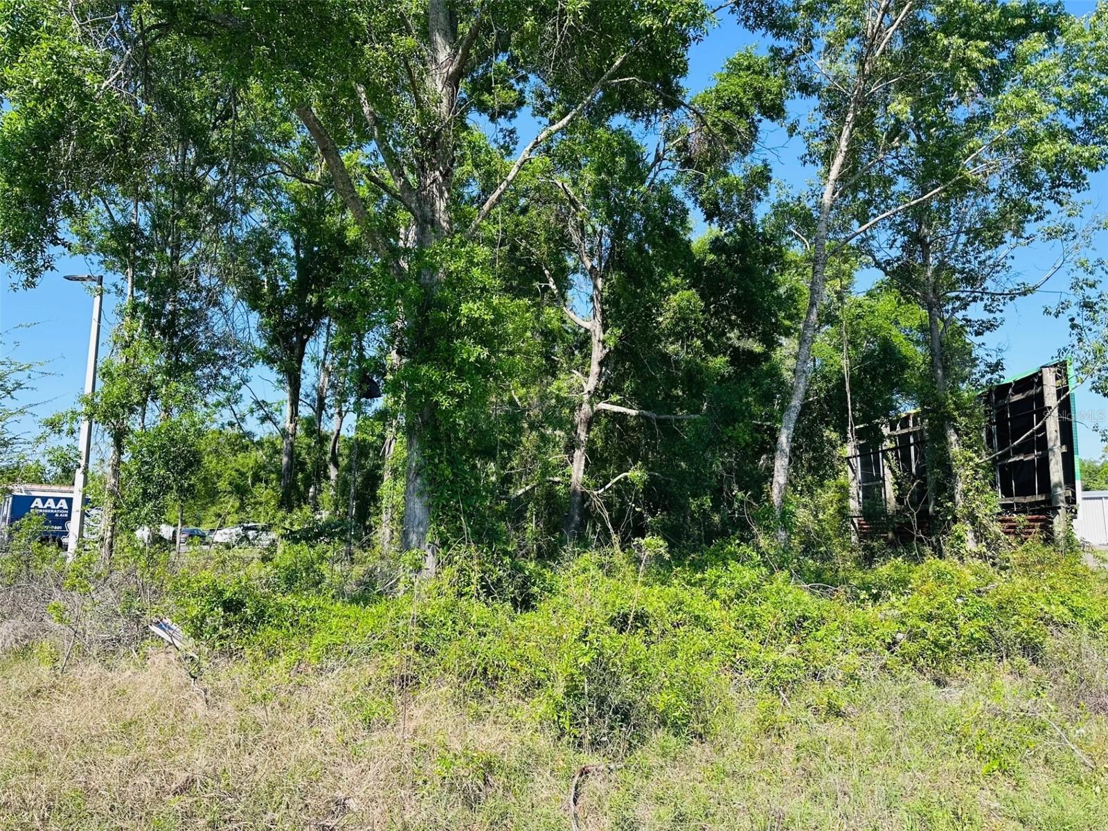 0 N Young Blvd Property Photo
